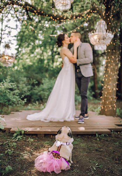 Wedding photographer Alona Zaporozhec (alenazaporozhets). Photo of 28 May 2018