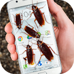 Bug in Phone funny joke Apk