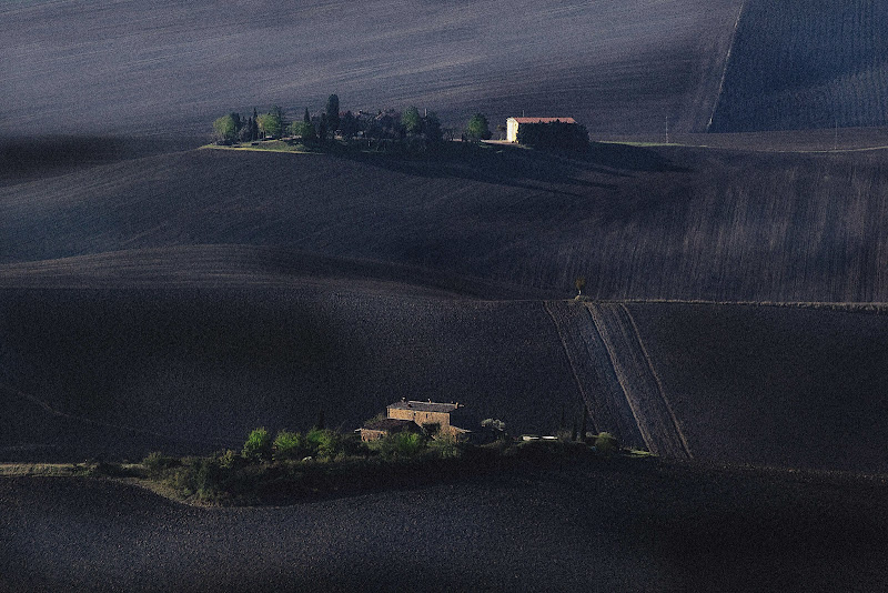 Grana di terra di paolo1954