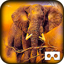 下载 Wild Jungle Tour VR - Animals 安装 最新 APK 下载程序