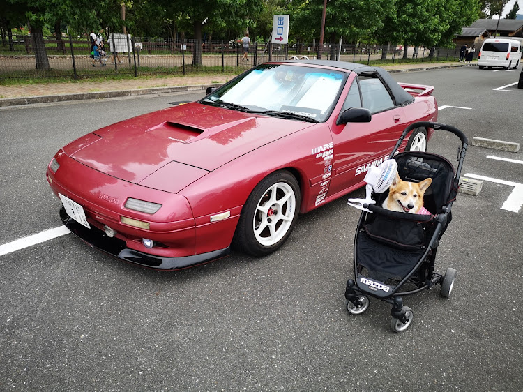 RX-7のコーギーのなな・紫陽花・山田池公園・がっちん・犬tuneに関するカスタム事例の投稿画像1枚目