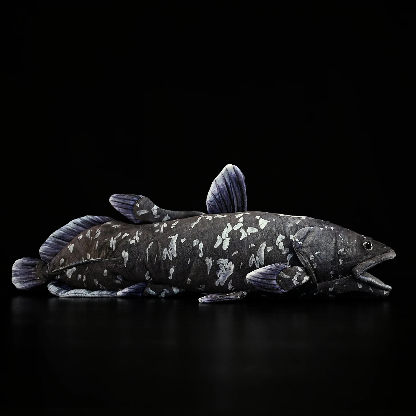 Title 8, Cute Printed Coelacanth Plush Toy. A soft and c...