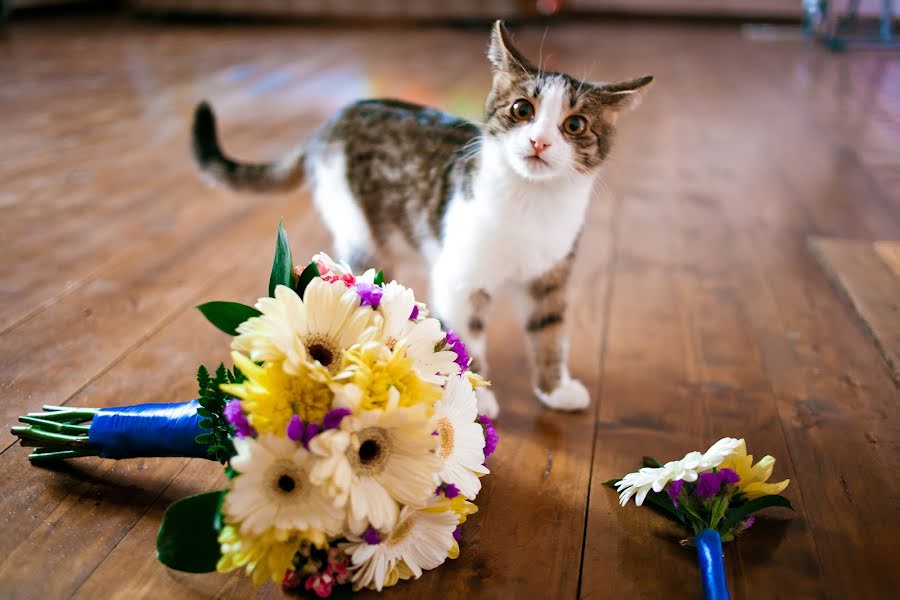 Hochzeitsfotograf Yuliya Nikitina (juliyaniki). Foto vom 16. November 2015