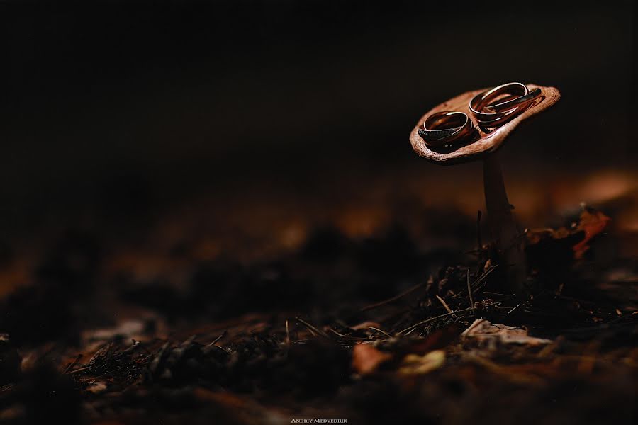 Bryllupsfotograf Andrey Medvedyuk (medvediuk). Foto fra juli 30 2018