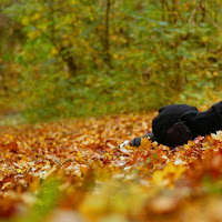 La bella addormentata nel bosco di 