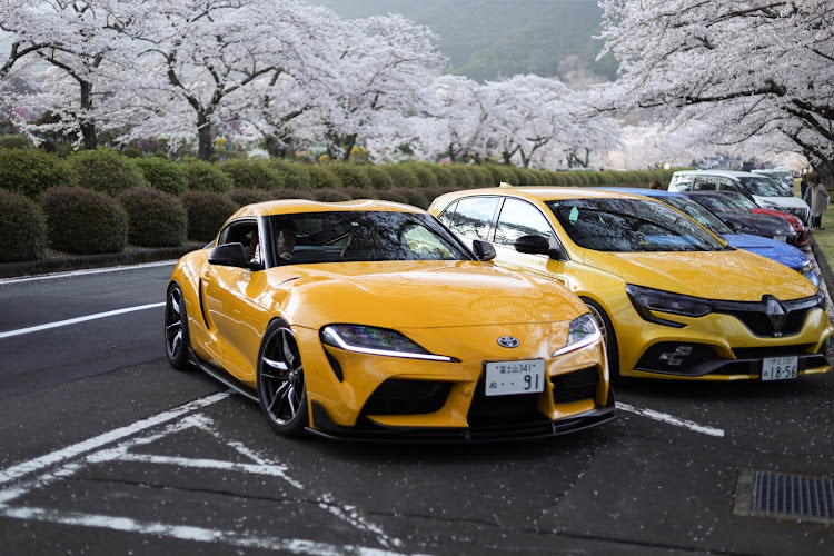 スープラの桜と愛車・桜コラボ・富士霊園に関するカスタム事例の投稿画像9枚目