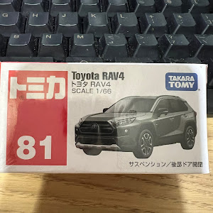 RAV4 AXAH54