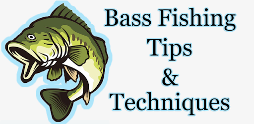 Bass Fishing Techniques & Tips