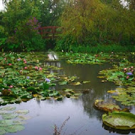 莫內的花園