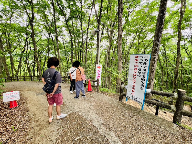 の投稿画像15枚目