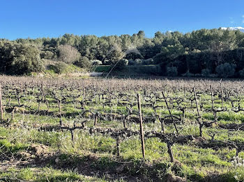 terrain à Cotignac (83)