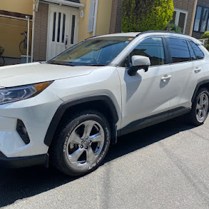 RAV4 AXAH54