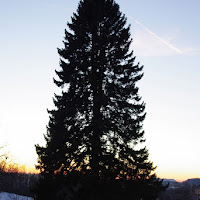 L'ALBERO DI NATALE di 