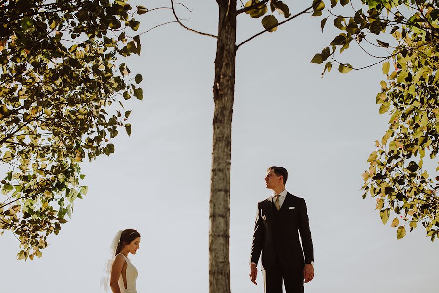 Nhiếp ảnh gia ảnh cưới Przemek Woleńszczak (pwfotograf). Ảnh của 24 tháng 11 2019