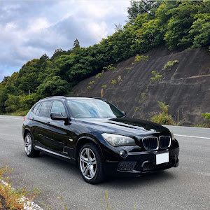 X1 xDrive 20i