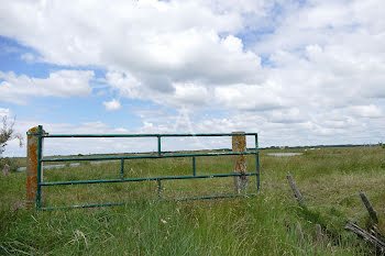 terrain à Nieulle-sur-Seudre (17)