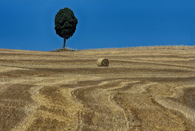 dopo la mietirura di ruggeri alessandro