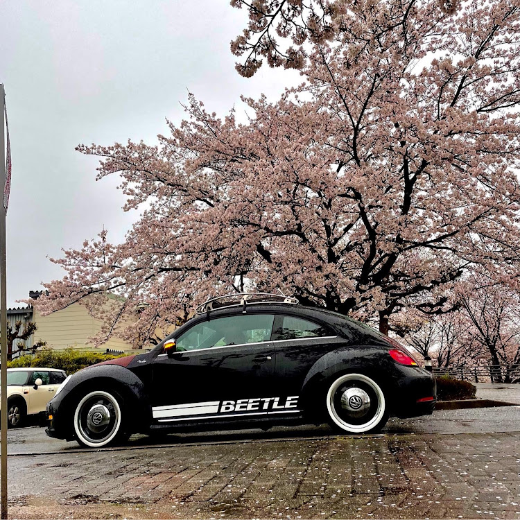 ザ・ビートル の桜とコラボに関するカスタム事例の投稿画像3枚目
