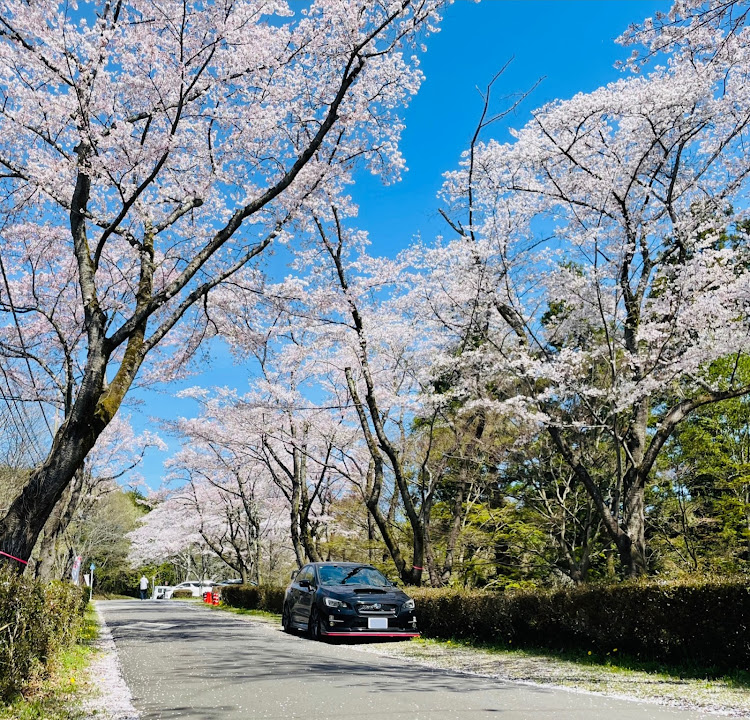 の投稿画像1枚目