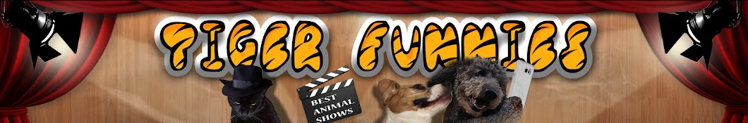 Tiger Funnies Banner