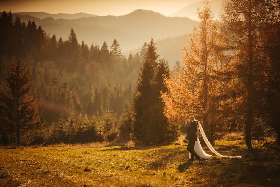 Photographe de mariage Kamil Turek (kamilturek). Photo du 3 décembre 2020