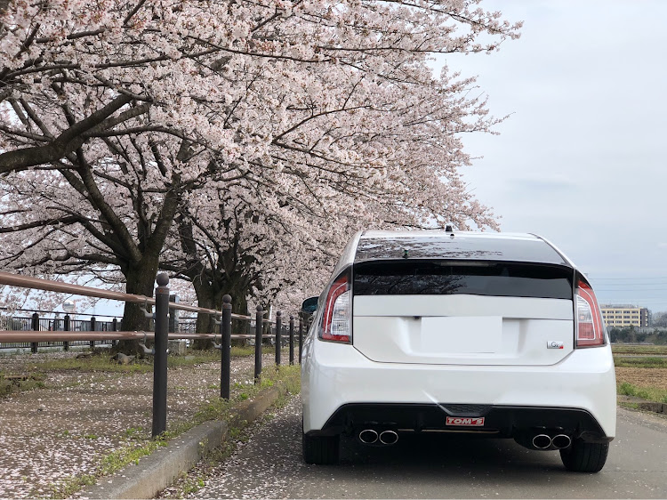 プリウスのプリウスG's・zvw30・寒冷地仕様・桜・エンブレムレスに関するカスタム事例の投稿画像2枚目