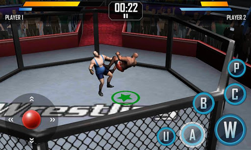 Real Wrestling 3D (Mod Money)