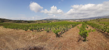 terrain à Montner (66)