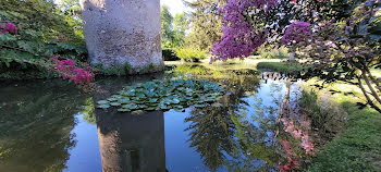 propriété à Romorantin-Lanthenay (41)