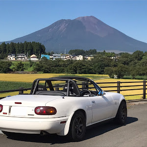 ロードスター NA8C