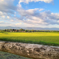 Estate nella campagna toscana di 