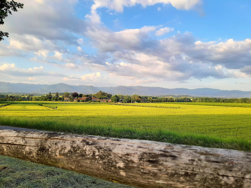 Estate nella campagna toscana di Saverionepi