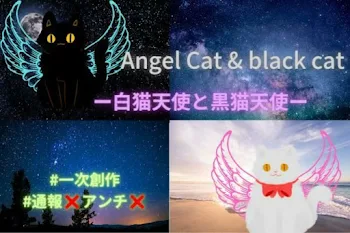 「Angel Cat & black catー白猫天使と黒猫天使ー」のメインビジュアル