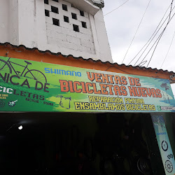 Bicycle Store