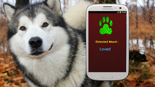 Dog Mood Scanner Detector