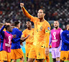 Pays-Bas : Virgil Van Dijk prend cher 