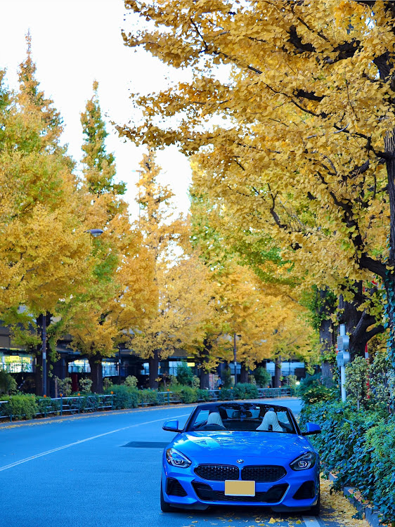 Z4のオープンカーのある景色・いつもイイネ&コメントありがとうございます🙇‍♂️・縦構図が好きに関するカスタム事例の投稿画像8枚目