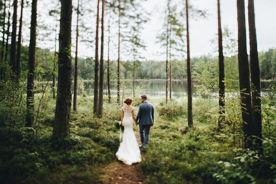 Fotografo di matrimoni Dmitriy Lebedev (lebedev). Foto del 3 novembre 2016