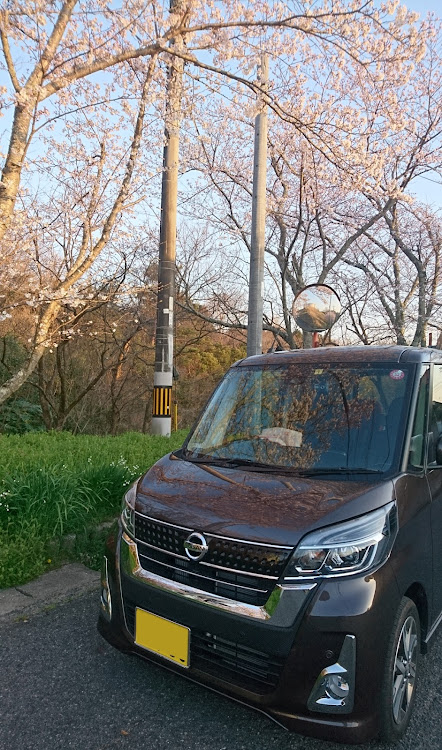 デイズルークスの桜と愛車・人目が気になる・退散🚗³₃に関するカスタム事例の投稿画像1枚目