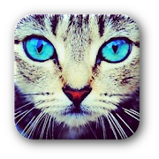 Beautiful Animals Eyes  Icon