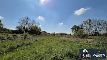 terrain à batir à Luxémont-et-Villotte (51)