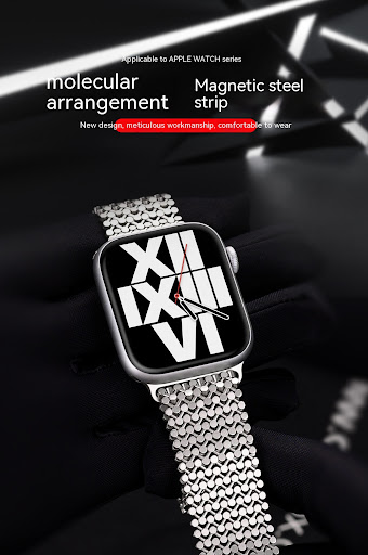 Title 10, Watch Strap Stainless Steel Loop Magnetic Metal