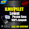 Ilmu Pelet Lewat Pesan Sms 100% Ampuh icon