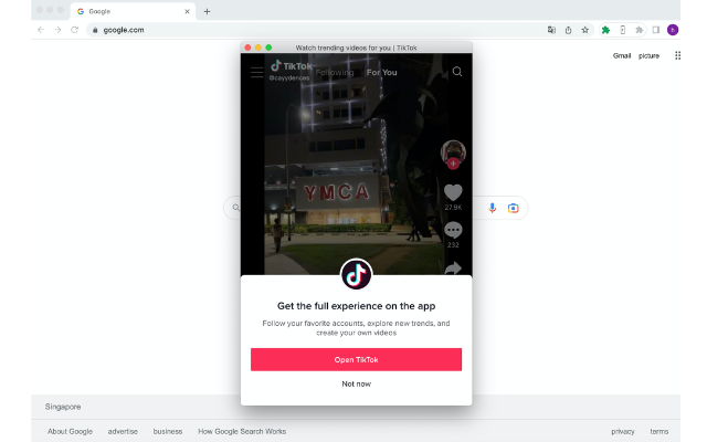 Web TikTok Mobile Viewer - Denote Preview image 4