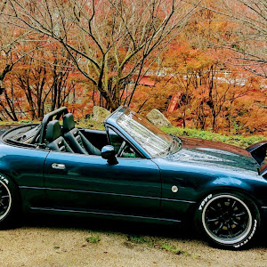 ロードスター NA8C