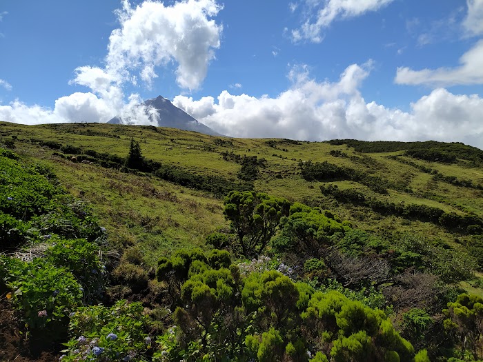 AZORES, 5 ISLAS POR UN PELO: PICO, SÃO JORGE, FAIAL, FLORES Y CORVO - Blogs de Portugal - PICO: LLEGADA Y PRIMER DÍA ESQUIVANDO LA LLUVIA (9)