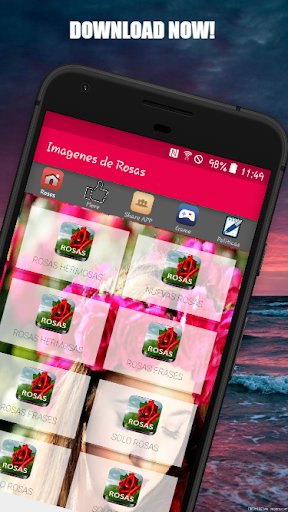 Roses Images Love Rose flower