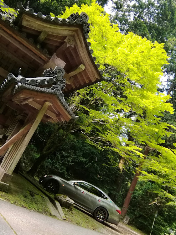 フーガの奈良県桜井市多武峰・談山神社⛩️東大門・新緑が綺麗・杉木がデカイ・ローガンに関するカスタム事例の投稿画像8枚目