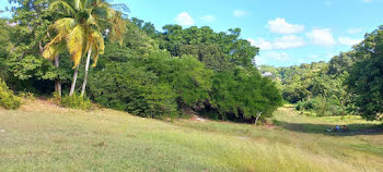 terrain à Sainte Anne (971)