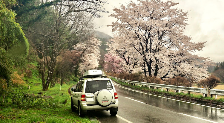 パジェロイオのパジェロイオで頑張る・春の風物詩と愛車・桜コラボ・信州・桜追跡に関するカスタム事例の投稿画像1枚目